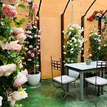 Art Otel Pietrasanta