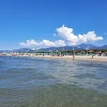 Art Pietrasanta