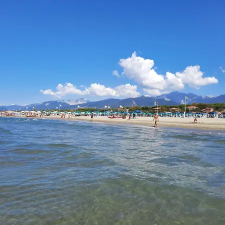 Art Pietrasanta
