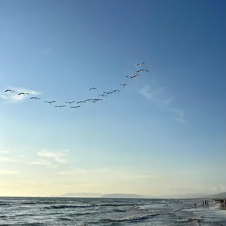 Art Pietrasanta